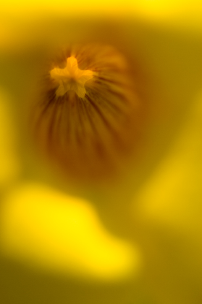 _J3A4080.jpg