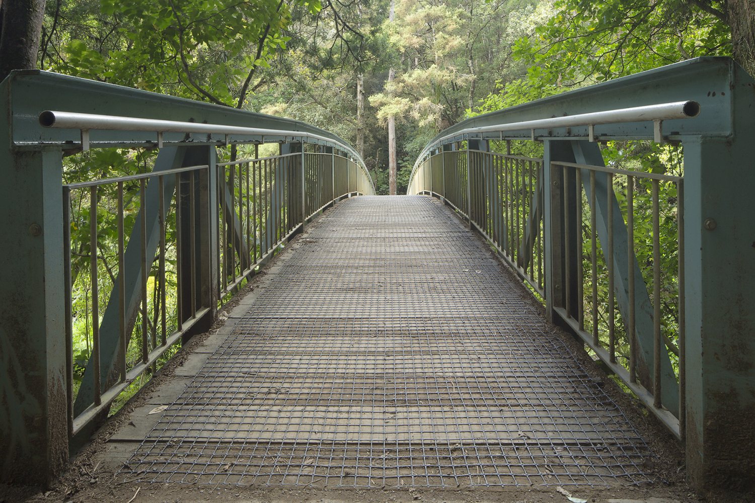 WhangareiBridge.jpg