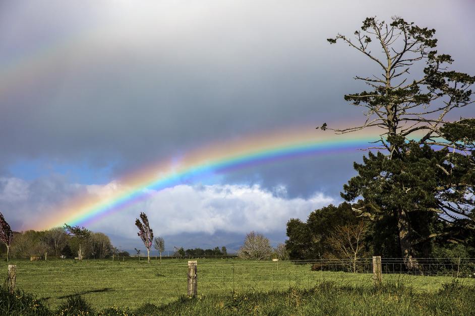 Rainbow.jpg