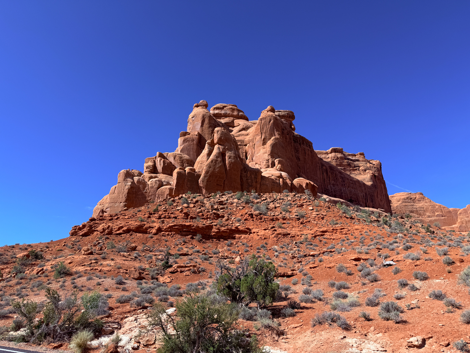 IMG_6093.jpg