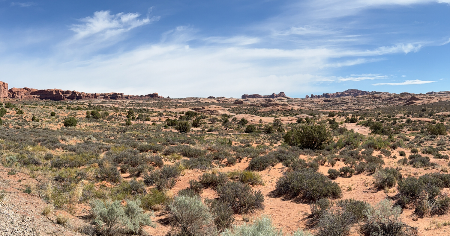IMG_6114.jpg