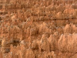 IMG_4374.jpeg