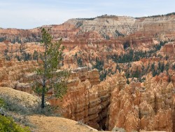 IMG_4402.jpeg