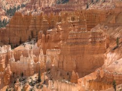 IMG_4472.jpeg