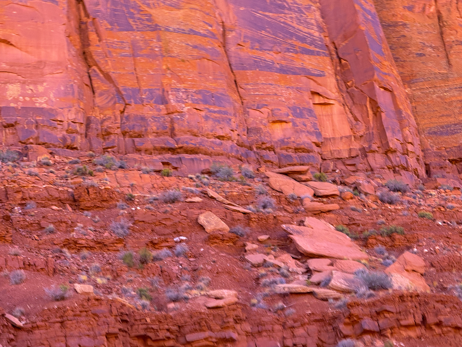 IMG_5633.jpg