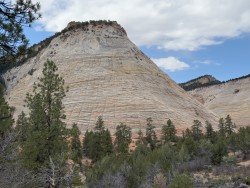 IMG_4271.jpg