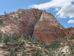 IMG_4275.jpg