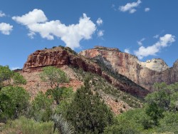 IMG_4285.jpg