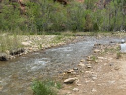 IMG_4287.jpg