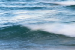 _47A6610.jpg