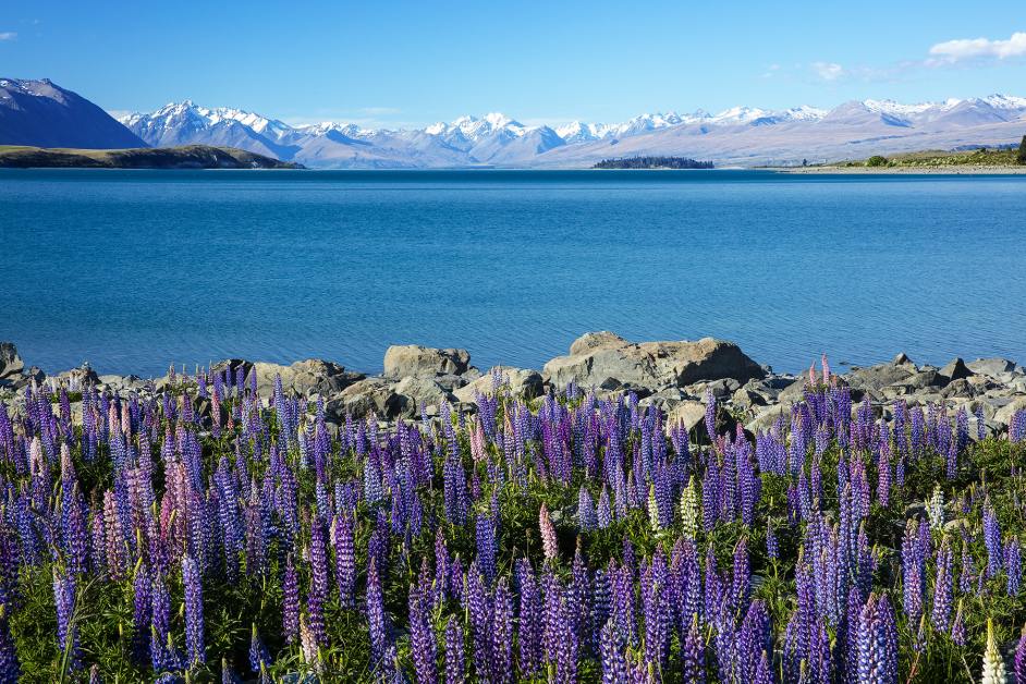 New Zealand